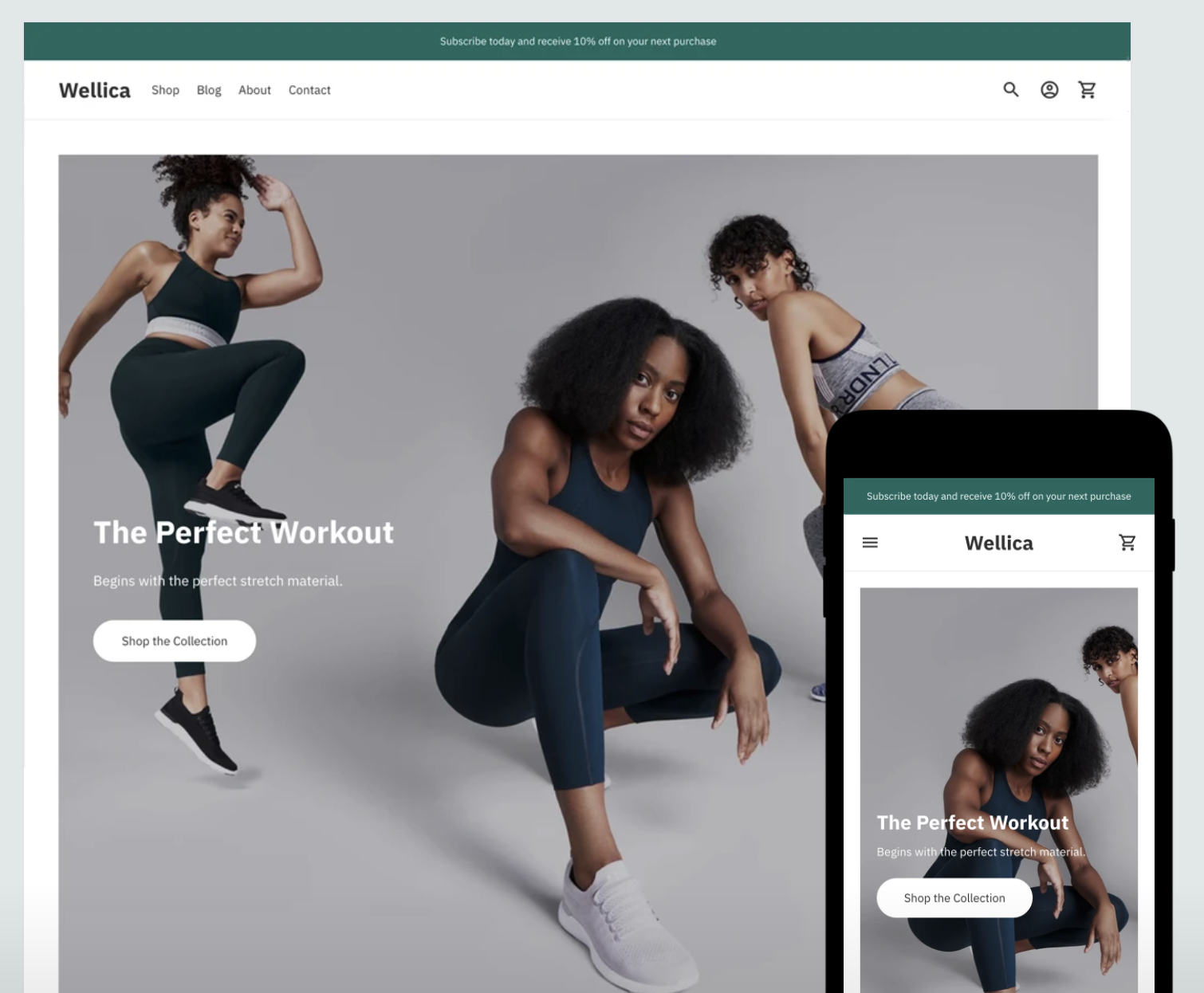 premium Shopify themes