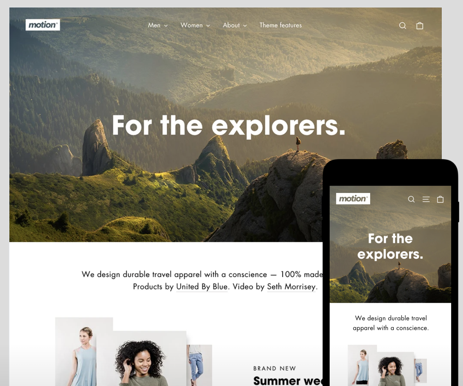 premium Shopify themes