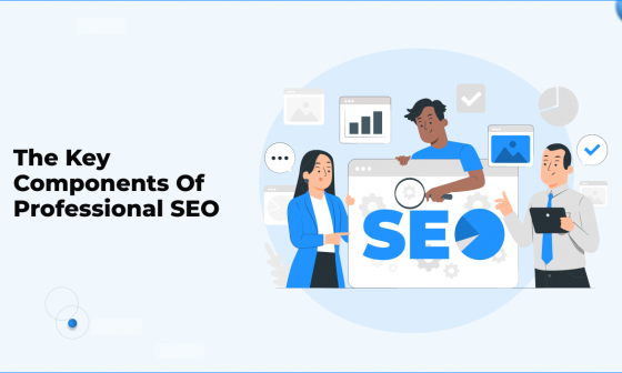 The Key Components of Professional SEO