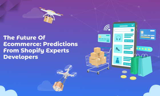 The Future of E-commerce: Predictions from Shopify Experts Developers