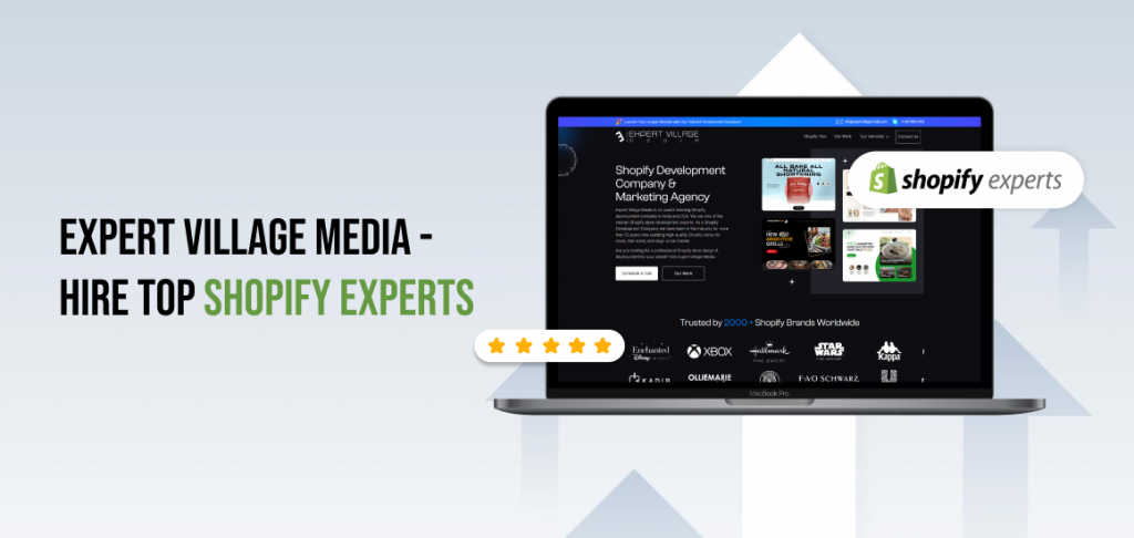 Expert Village Media - Hire Top Shopify Experts