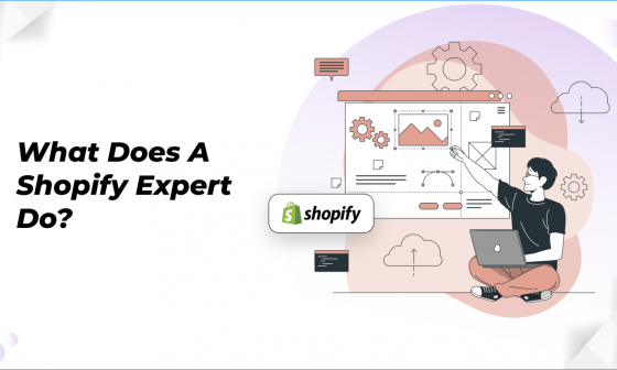 What does a Shopify Expert do